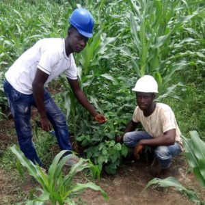 WhatsApp Image 2026-02-03 at 7.47.02 PM (13)