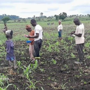 WhatsApp Image 2026-02-03 at 7.47.02 PM